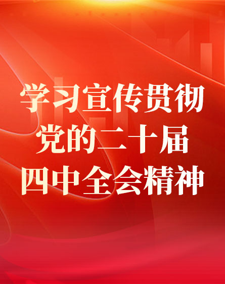 學(xué)習(xí)宣傳貫徹黨的二十屆四中全會精神